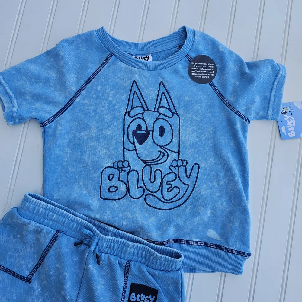 NEW Bluey Kids' Blue Tie-Dye T-Shirt and Shorts Set 2T - Picture 3 of 4